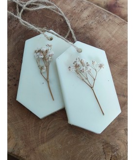 Lot de 2 palets parfumés...