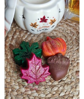 Coffret 4 maxi fondants...